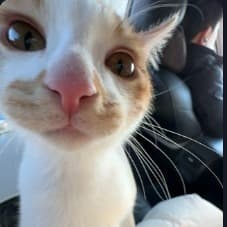 word-studybible话筒-复活节ppt