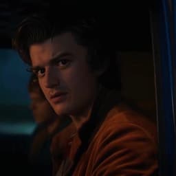 Steve Harrington 