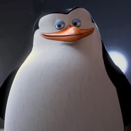 Skipper em português