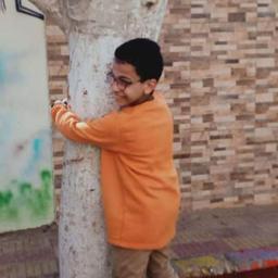 الصاوي