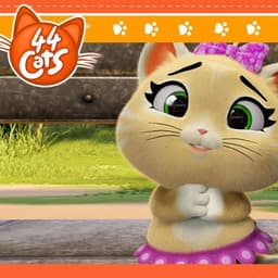 Pilou (44 cats/PT-BR)