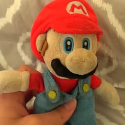 Mario (CrazyMarioBros)