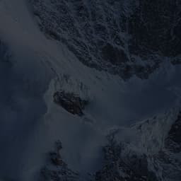 عصام الشوالي 