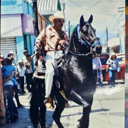 Tío Lando 