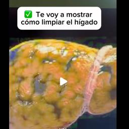 音频克隆El hígado es uno de los órganos