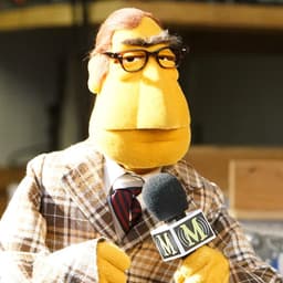 Newsman (The Muppets)
