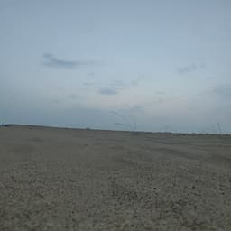 حمد ابو حسن