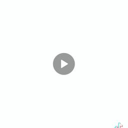 انا ابو الحمير انا حمار انا الاسود انا الغبي