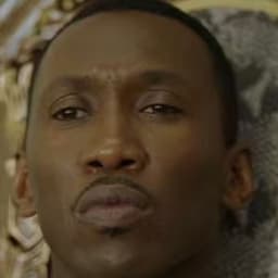 绿皮书钢琴家音频