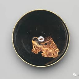 1233423454451231232144