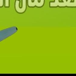 نوار سعد عبد 