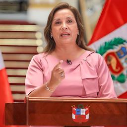 DINA BOLUDA 2