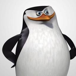 Skipper