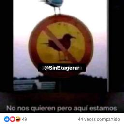 Enrique dj