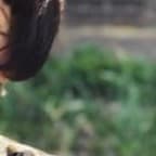 ыыыыыыыыыыыыыыы