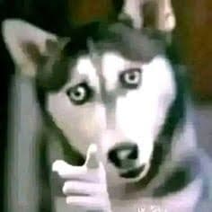 Lucila Gómez V.2 ( Solo Nickelodeon)