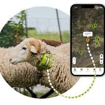 pastoreo automatizado