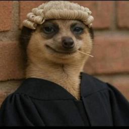 Madam