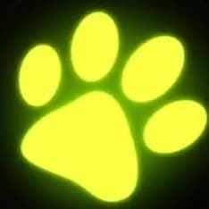 القط الأسود