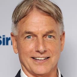 Mark Harmon 