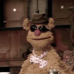 Fozzie bear