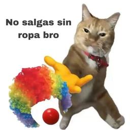 Luisito parte 2