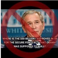 bush