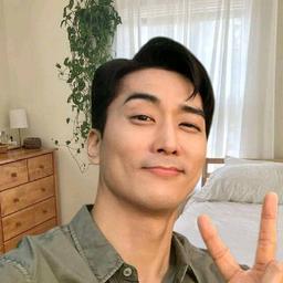 Song seung 