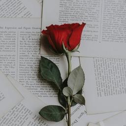 poetry
