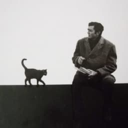 Julio Cortázar 