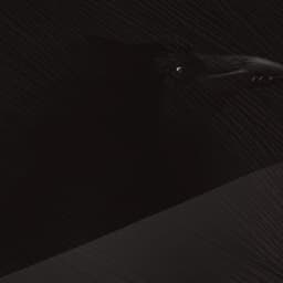 The Narrator (Slay The Princess)