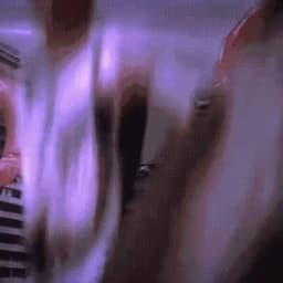 神鹰黑手哥2.000