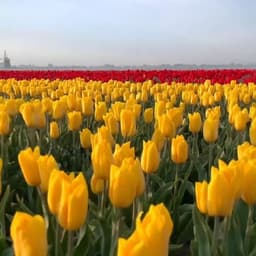 10.28电饭煲改压面机