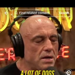 Joe rogan