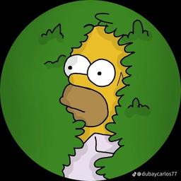 Homero 