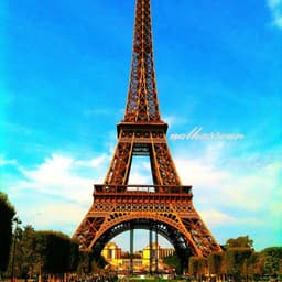 أحمد ياسين التهامي 