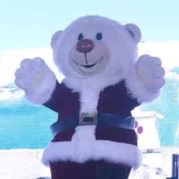 Bolo (Liverpool Shows)