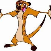 timon