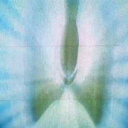 TV CULTURA/SBT/GLOBO/RECORD/REDE TV/TV GAZETA/BAND