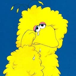 Big Bird (Sad)