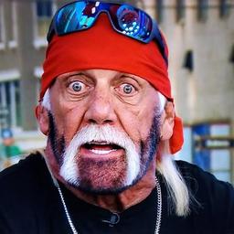 hulk hogan  es