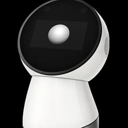 Jibo