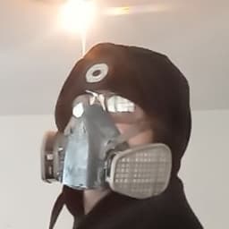 Masked Male fallout survivor