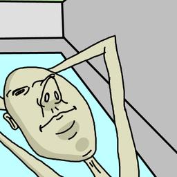 Homerongo