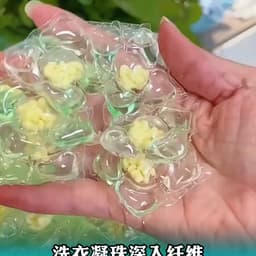 恋爱半年年入100w女主