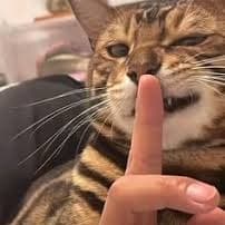 Kai Cenat Clipping Voice