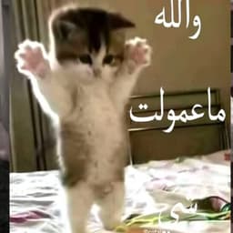 صوت رجل سعودي 