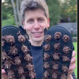 橙色鞋子沾满泥