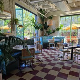 VOZ ESPECIALISTA JEJUM