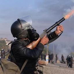 بصمت فيجو الدخلاوي